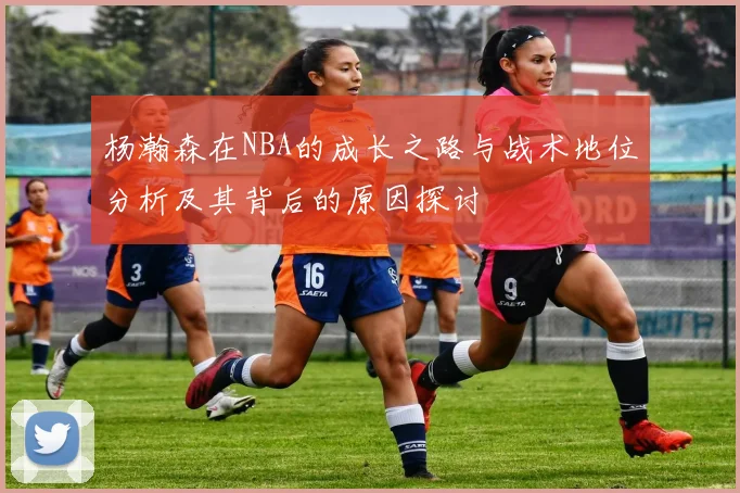 杨瀚森在NBA的成长之路与战术地位分析及其背后的原因探讨