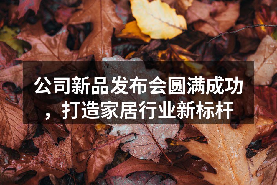 新品发布会现场热烈氛围